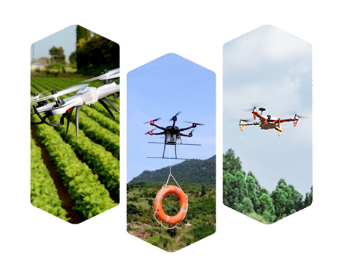 体育投注三亿体育航空课程定制范围